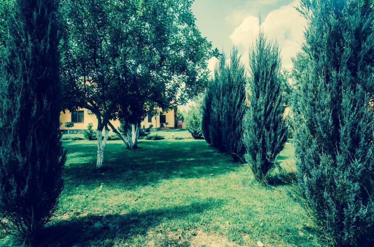 Sunrise Boutique Hotel Berehove  Dış mekan fotoğraf